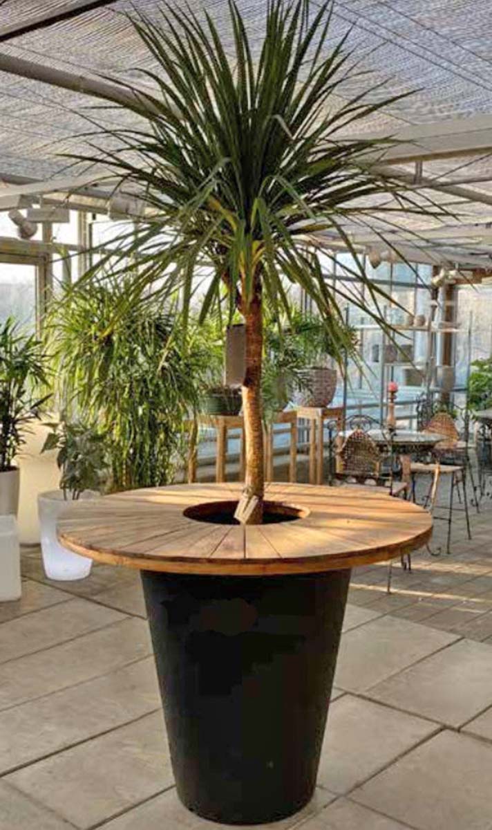 PLANTO CONE-Bar aus 3 mm Cortenstahl mit Teakabdeckung